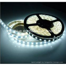 DC12V / 24V 60LEDs / M 5630 SMD Iluminación de tira de LED